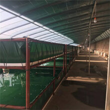 水产业环保储水池鱼虾专用防漏水鱼池无毒皮皮虾水池定做定做养殖鱼苗类帆布鱼池图片