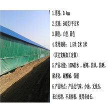 定做保暖防水猪场卷帘批发养殖场卷帘布白色鸡舍牛棚卷帘提供温氏专用养殖场围布图片