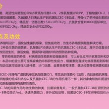 宝来利来肽优康价格吉林提高禽抗病力改善蛋品质图片