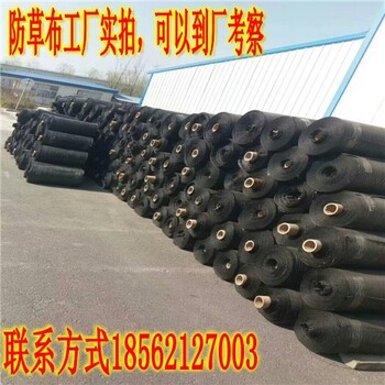 黑色果園防草布的用途及防草布一畝地多少錢規(guī)格