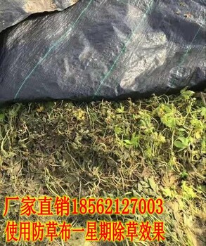 1畝地防草布大概多些錢