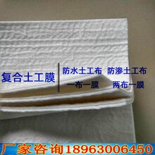 三布两膜-土工膜上海图片