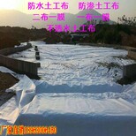 哪里卖复合防水土工膜,哪里卖复合防水土工膜生产厂家图片4