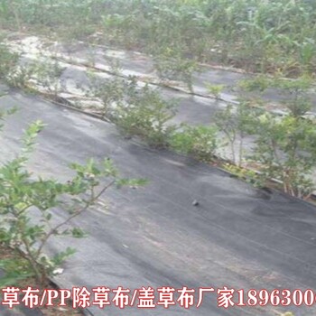 陜西防草地布