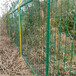 浙江铁路护栏网杭州公路俩侧围栏网墨绿色养殖围栏网