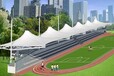 杭州膜结构体育设施销售
