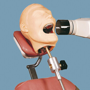德国QUART牙科X射线训练体模（德国牙科X射线训练头模CT体模CT医学影像模体）