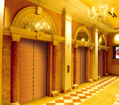 上海星级酒店豪华不锈钢土豪金电梯装饰