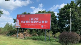 深圳旅居老年公寓图片2