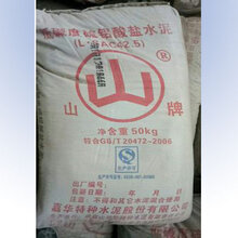 内江马边快干水泥厂家大量供应图片