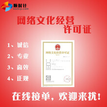 上海市网络文化经营许可证动漫办理