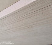 胶合板厂家供应杨木三拼板多层木箱板多层夹板