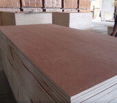 5厘装饰板门板基板多层木箱板绿色环保