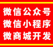 广州公众号微商城小程序开发、网络推广引流网络营销开网店