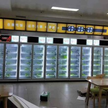 在地铁投放自助蔬菜水果售卖机怎样