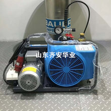 现货BAUER空气压缩机配件润滑油N28355-1图片