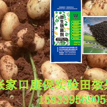 咸陽(yáng)微生物菌劑價(jià)格惠旺微生物菌劑生產(chǎn)圖片