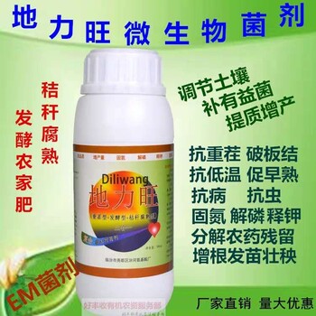 番茄臍腐病、辣椒臍腐病，如何進(jìn)行有效防治？