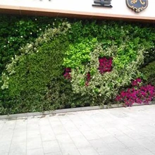 植物墻生態(tài)墻生產(chǎn)設(shè)計施工廠家可定制