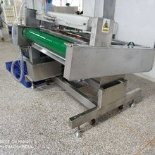 滚动1100型连续式真空包装机图片