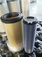 SK100PU型電噴空氣濾清器圖片