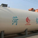 4噸燃?xì)鈱?dǎo)熱油鍋爐，250萬大卡燃?xì)鈱?dǎo)熱油鍋爐廠家直銷