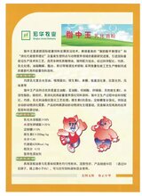 脂中王图片
