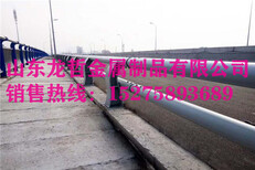贵州桥梁护栏/不锈钢护栏厂家支持定做图片1