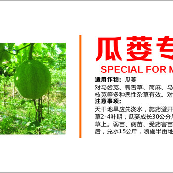 瓜蔞苗后除草劑廠家禾闊雙除