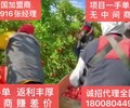 黑龙江鹤岗正规出国中铁劳务-新西兰零费用-丹麦-以色列-挪威等