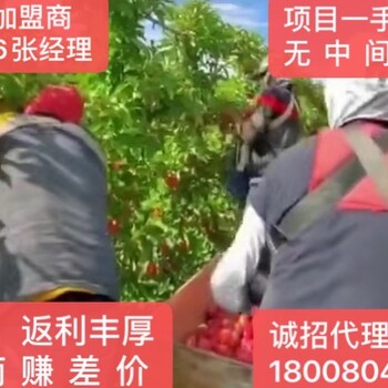 重庆忠县海外劳务出国打工-加工厂招工