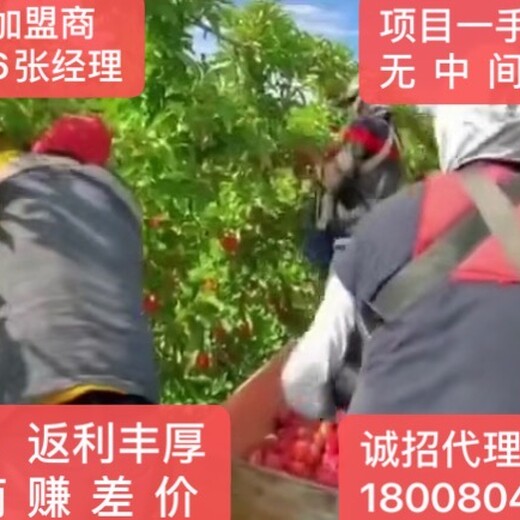 湖南邵阳出国劳务派遣外派2021急招厨师帮厨搬运工月入3万