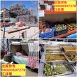 河北沧州央企项目招刮大白合同公证月薪3W图片