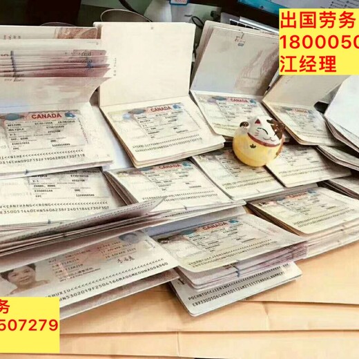 上海浦东签证中心下公证书招工程车司机雇主保签年薪35W