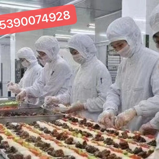 浙江丽水出国劳务一手项目招厨师食品厂年薪45万