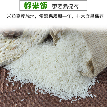 廣州贏特公司速食米即食沖泡膨化營(yíng)養(yǎng)米粒