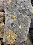 玄武岩橄榄石-辉绿橄榄岩-结晶辉绿岩-橄榄石玄武岩