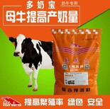 想要奶牛饲料价格奶牛饲料价格批发价奶牛饲料价格就用英美尔图片2