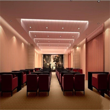 酒店常用纯色丙纶弯头纱地毯办公室婚纱店美容院商用大面积卷材