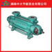 现货供应DG120-507高温锅炉给水泵
