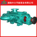 湖南中大泵业专业制造ZPD25-809自平衡多级离心泵