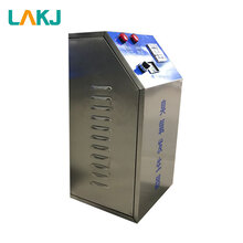 蓝奥臭氧发生器臭氧发生器10克臭氧发生器定做图片