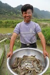 江西吉安农业养殖选泥鳅青蛙养殖养殖泥鳅提供养殖技术