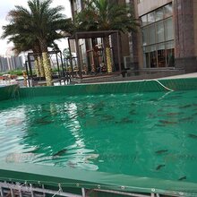 定做水产行业储水池环保防水篷布鱼池室外帆布水池价格pvc无气味鱼塘鱼池图片