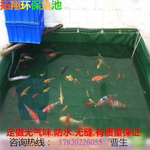 养殖场鱼池帆布蓄水池户外蓄水池帆布鱼池养虾帆布图片