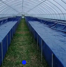 防水无气味水产专用水池帆布游泳池养殖帆布鱼池养虾帆布池养鱼帆布鱼池图片