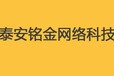 泰安网络推广优化泰安铭金网络科技有限公司