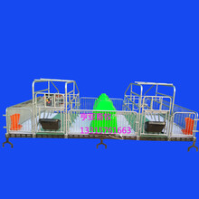 供应热镀锌单体母猪产床双体母猪产床亨特现货供应