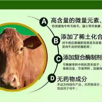 秋季肉?？焖儆蔬x什么草料好