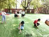 广州荔湾三月公司团建休闲植树一日游